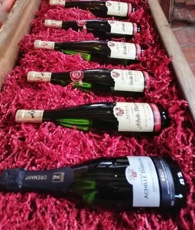 Appartement Thirion Saint-Hippolyte (Haut-Rhin)