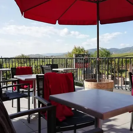 Appartement Thirion Saint-Hippolyte (Haut-Rhin)