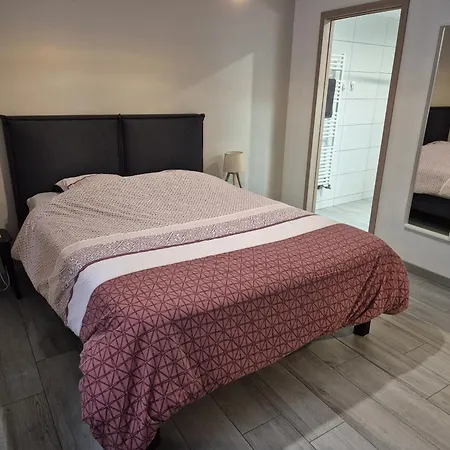 Apartment Thirion Saint-Hippolyte (Haut-Rhin)