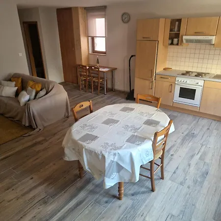 Apartment Thirion *