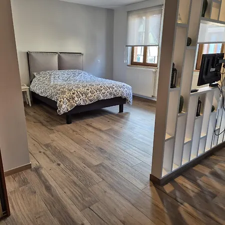 Thirion Apartment Saint-Hippolyte (Haut-Rhin)