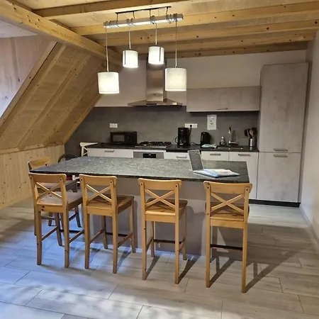 Thirion Apartment Saint-Hippolyte (Haut-Rhin)