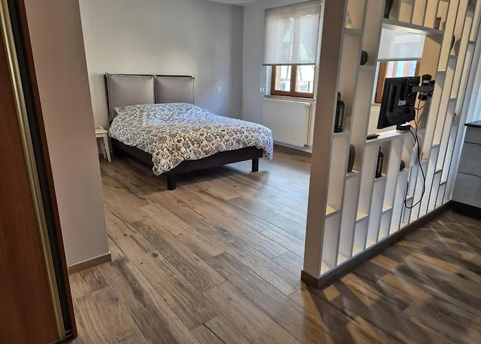 Thirion Lejlighed Saint-Hippolyte (Haut-Rhin)